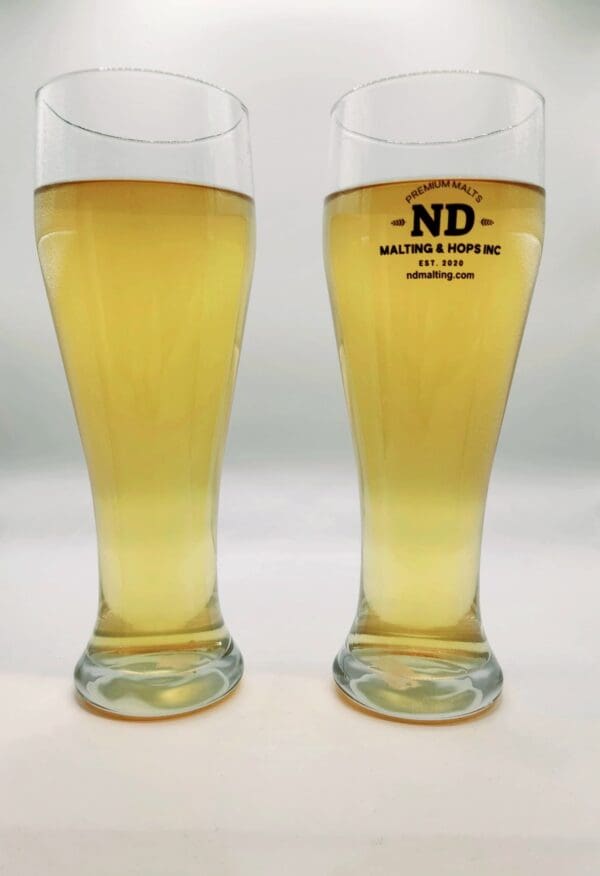 Two glasses of beer are sitting on a table.